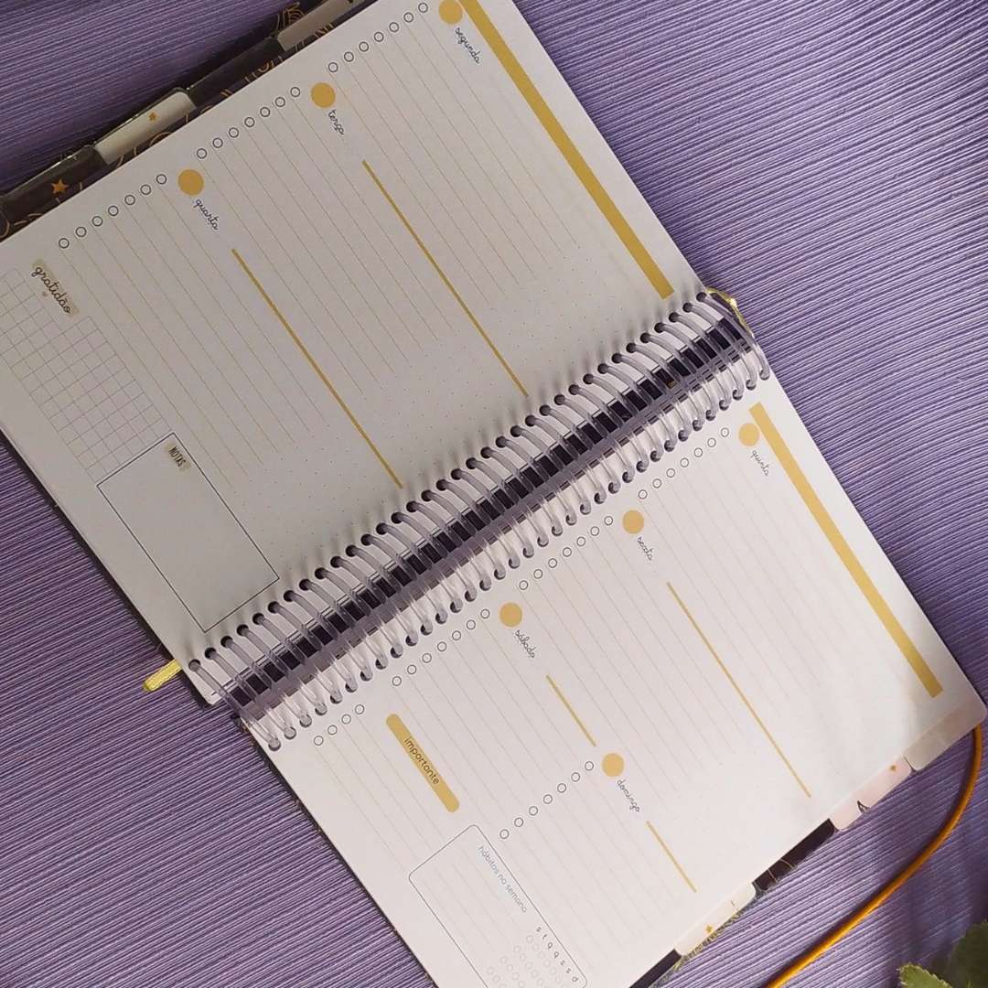 Planner Astral - Imagem 10